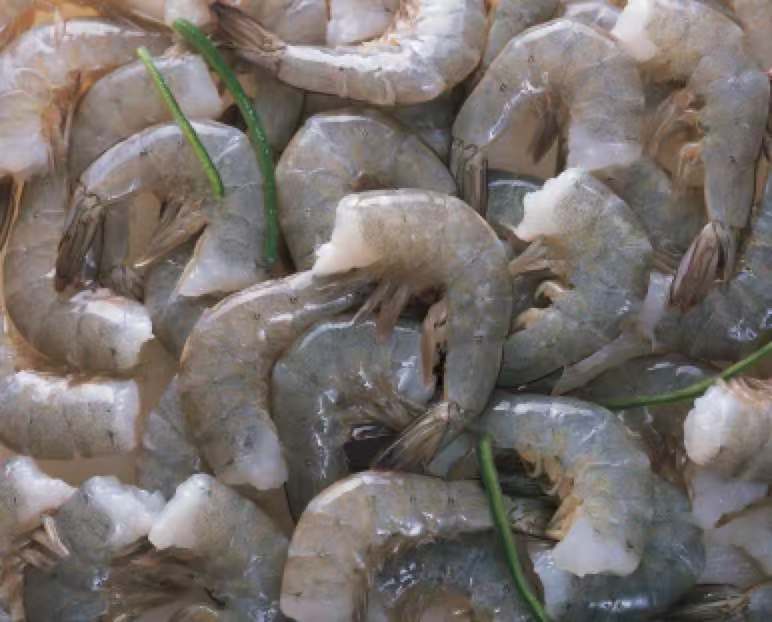 Headless Shell On Shrimp